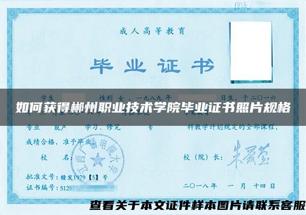 如何获得郴州职业技术学院毕业证书照片规格