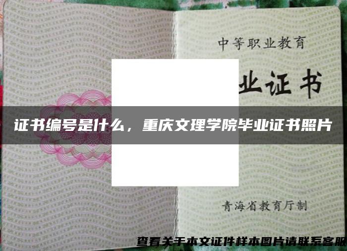 证书编号是什么，重庆文理学院毕业证书照片