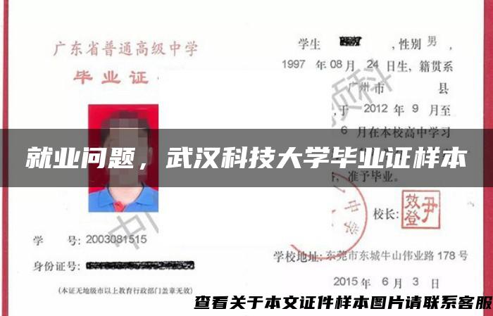 就业问题，武汉科技大学毕业证样本