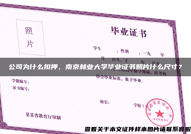 公司为什么扣押，南京林业大学毕业证书照片什么尺寸？