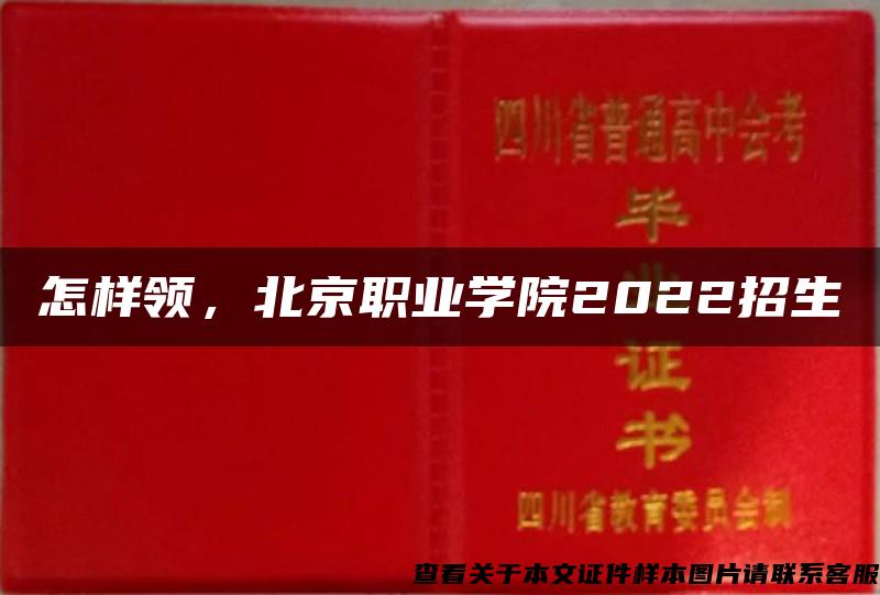 怎样领，北京职业学院2022招生