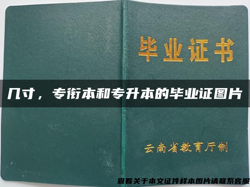 几寸，专衔本和专升本的毕业证图片