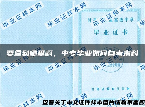 要拿到哪里啊，中专毕业如何自考本科