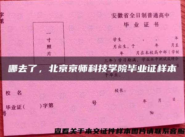 哪去了，北京京师科技学院毕业证样本