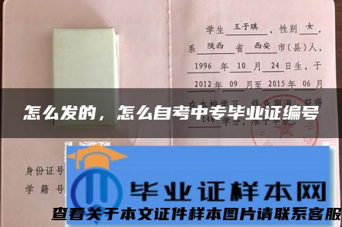 怎么发的，怎么自考中专毕业证编号