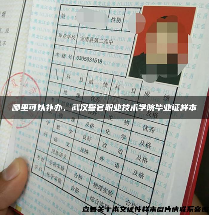 哪里可以补办，武汉警官职业技术学院毕业证样本