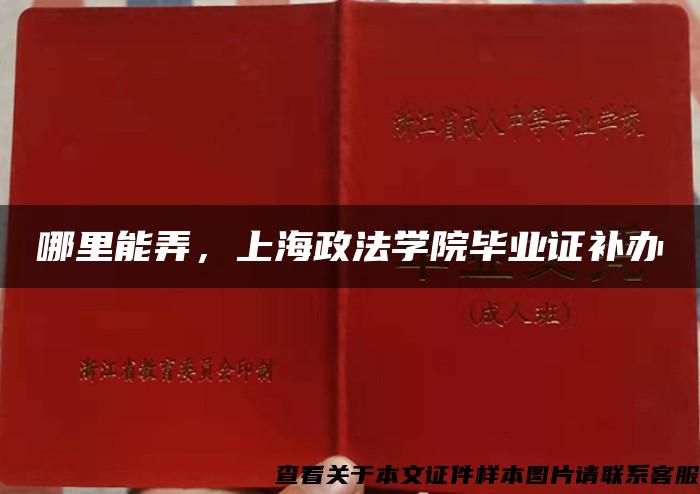 哪里能弄，上海政法学院毕业证补办