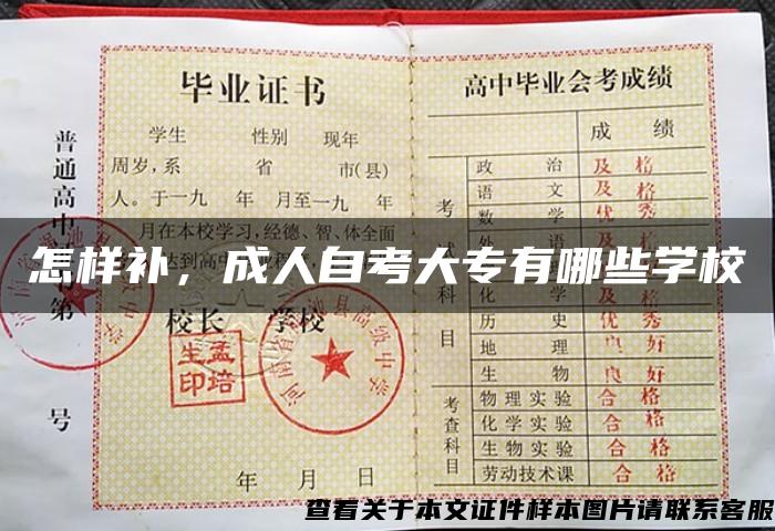 怎样补，成人自考大专有哪些学校