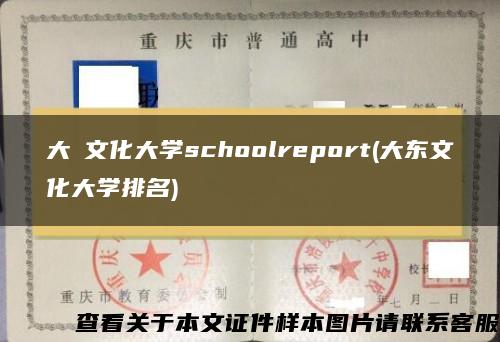 大東文化大学schoolreport(大东文化大学排名)