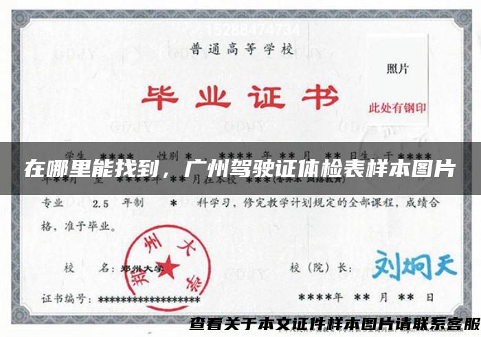 在哪里能找到，广州驾驶证体检表样本图片