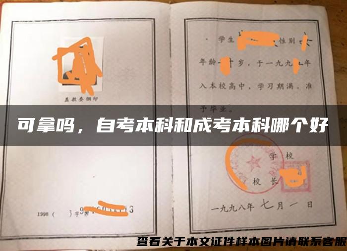 可拿吗，自考本科和成考本科哪个好