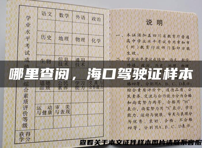 哪里查阅，海口驾驶证样本
