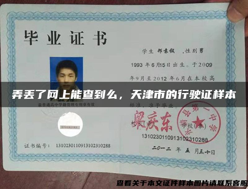 弄丢了网上能查到么，天津市的行驶证样本
