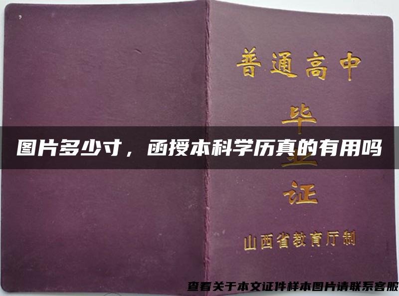 图片多少寸，函授本科学历真的有用吗