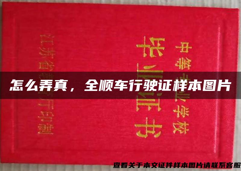 怎么弄真,全顺车行驶证样本图片 怎么弄真,全顺车行驶证样本图片