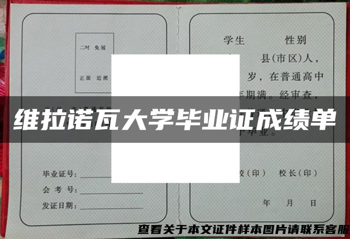 维拉诺瓦大学毕业证成绩单