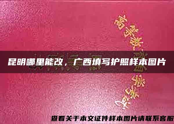 昆明哪里能改，广西填写护照样本图片