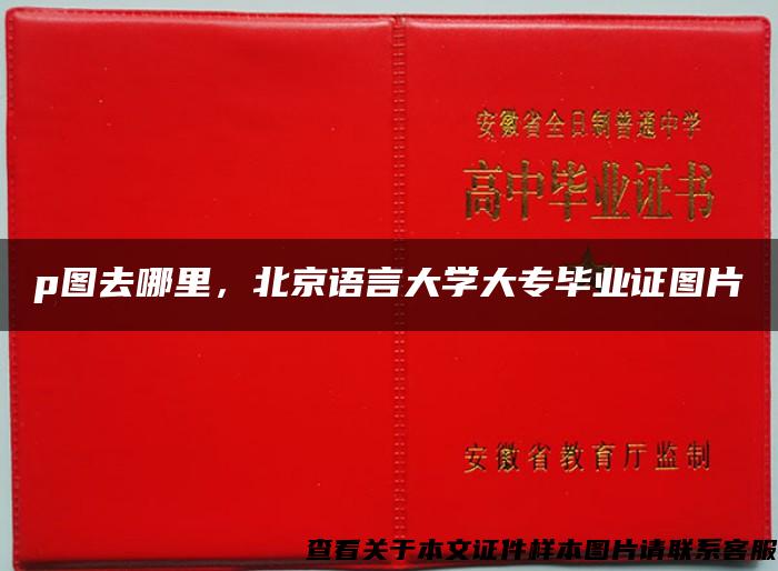 p图去哪里，北京语言大学大专毕业证图片
