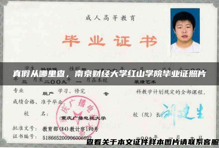 真假从哪里查，南京财经大学红山学院毕业证照片