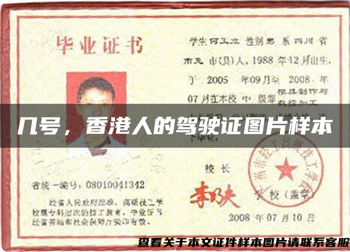 几号，香港人的驾驶证图片样本