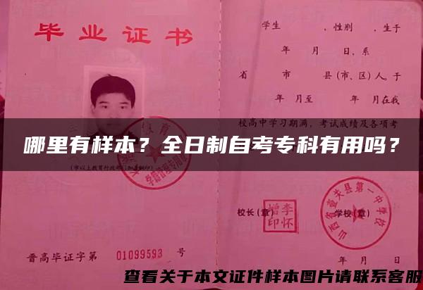 哪里有样本？全日制自考专科有用吗？