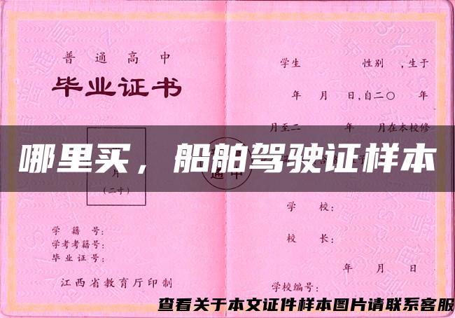 哪里买，船舶驾驶证样本