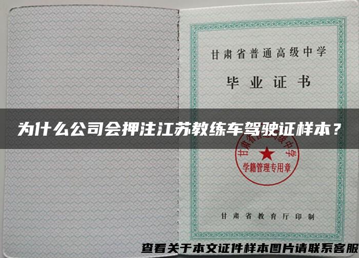 为什么公司会押注江苏教练车驾驶证样本？