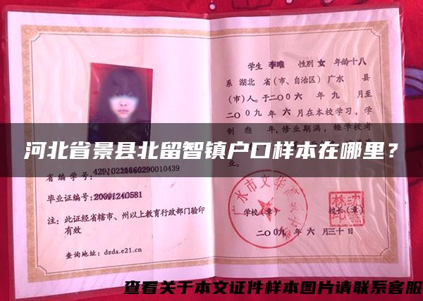 河北省景县北留智镇户口样本在哪里？