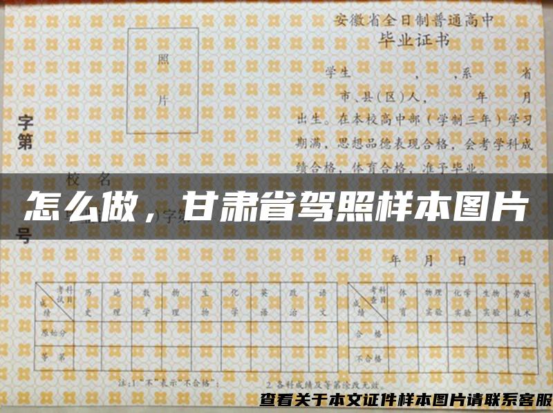 怎么做，甘肃省驾照样本图片