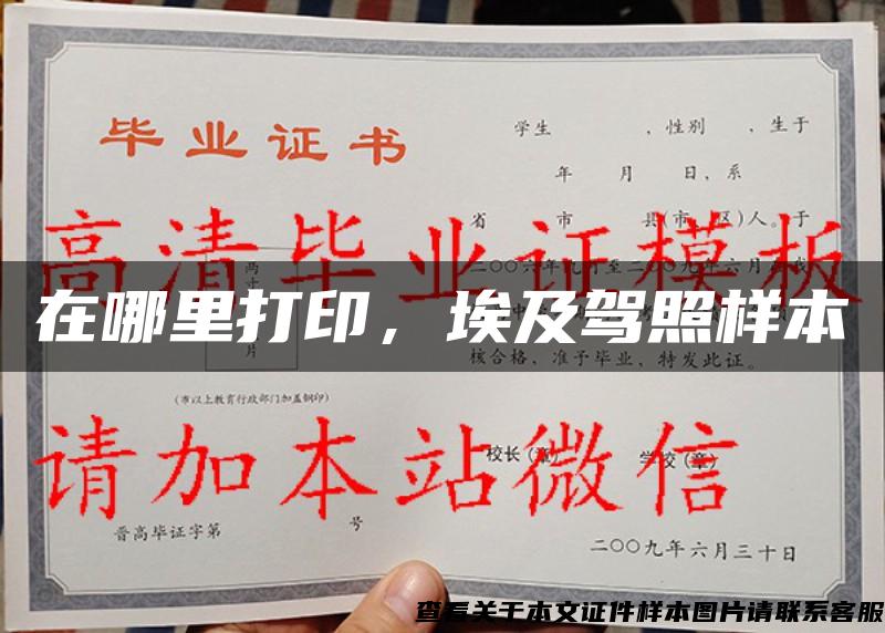 在哪里打印，埃及驾照样本