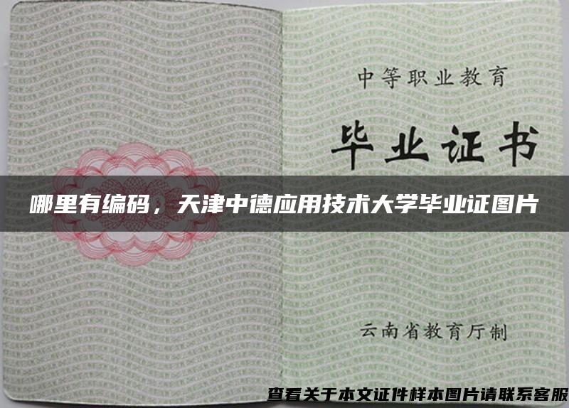 哪里有编码，天津中德应用技术大学毕业证图片