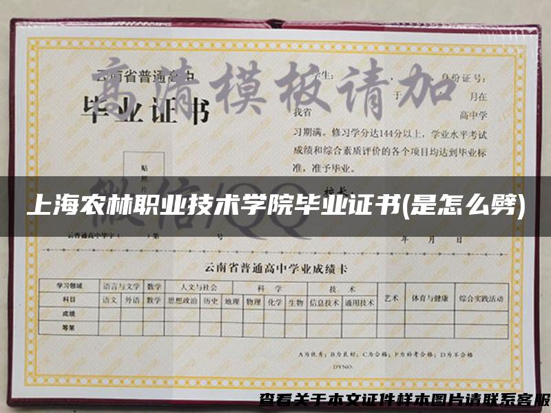 上海农林职业技术学院毕业证书(是怎么劈)