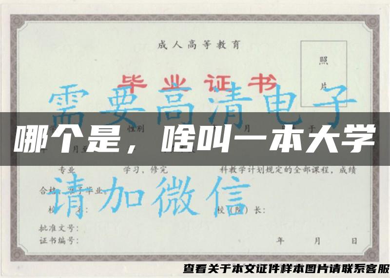 哪个是，啥叫一本大学