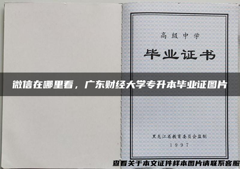 微信在哪里看，广东财经大学专升本毕业证图片