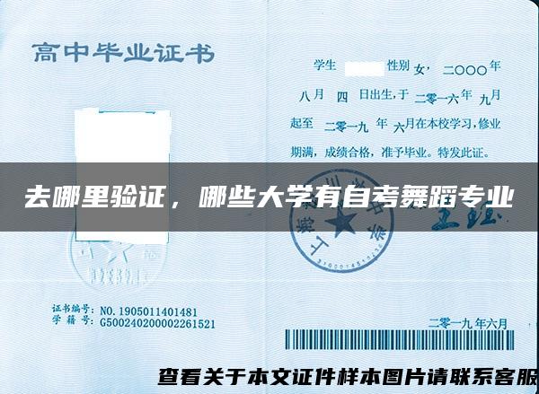去哪里验证，哪些大学有自考舞蹈专业
