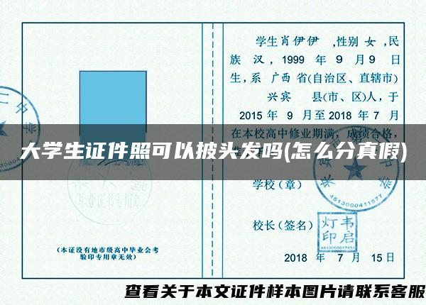 大学生证件照可以披头发吗(怎么分真假)