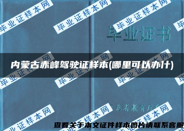 内蒙古赤峰驾驶证样本(哪里可以办什)