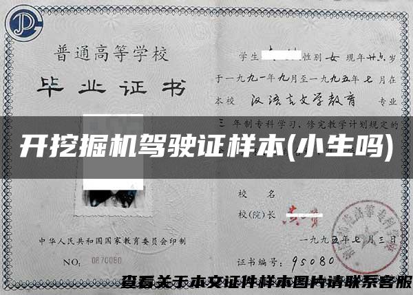 开挖掘机驾驶证样本(小生吗) 开挖掘机驾驶证样本(小生吗)