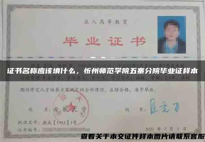 证书名称应该填什么，忻州师范学院五寨分院毕业证样本