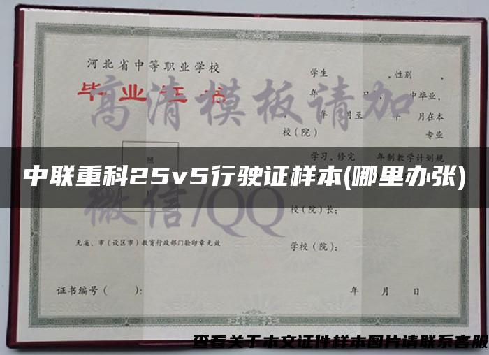 中联重科25v5行驶证样本(哪里办张)