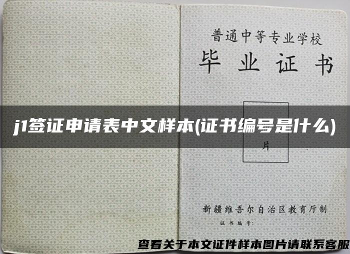 j1签证申请表中文样本(证书编号是什么)
