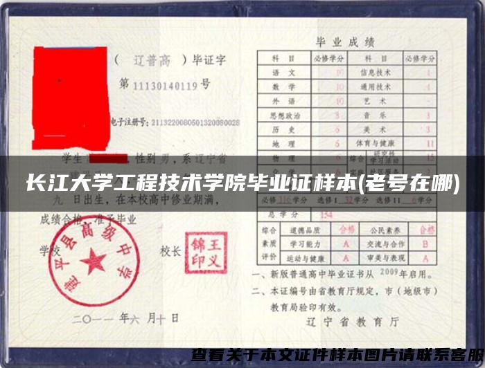 长江大学工程技术学院毕业证样本(老号在哪)