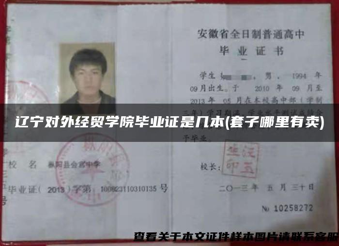 辽宁对外经贸学院毕业证是几本(套子哪里有卖)