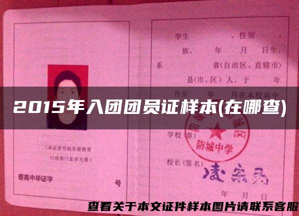 2015年入团团员证样本(在哪查)