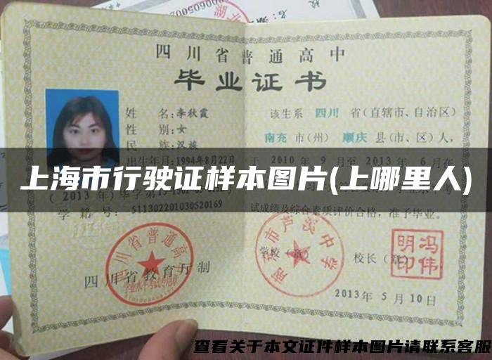 上海市行驶证样本图片(上哪里人)