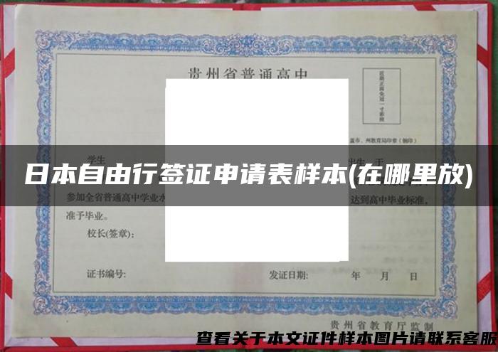 日本自由行签证申请表样本(在哪里放)