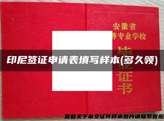 印尼签证申请表填写样本(多久领)