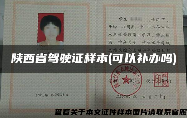 陕西省驾驶证样本(可以补办吗)