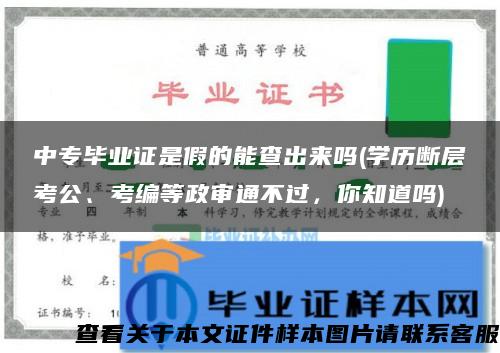 中专毕业证是假的能查出来吗(学历断层考公、考编等政审通不过，你知道吗)
