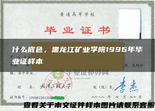 什么底色，黑龙江矿业学院1996年毕业证样本